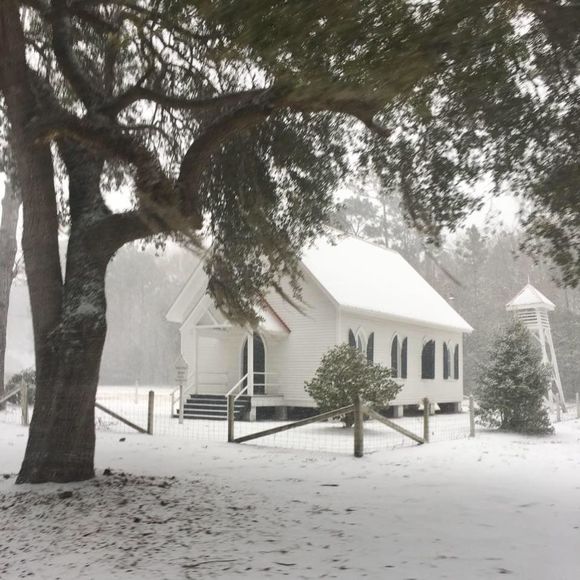 Meet your Posher, Isabelle - Picture 1 of 1